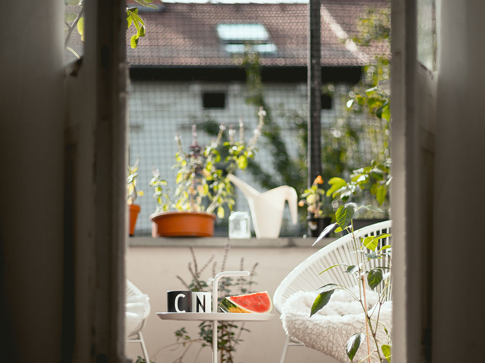 Conférence Potager