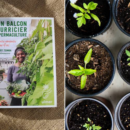 Conférence : « Mon balcon nourricier »