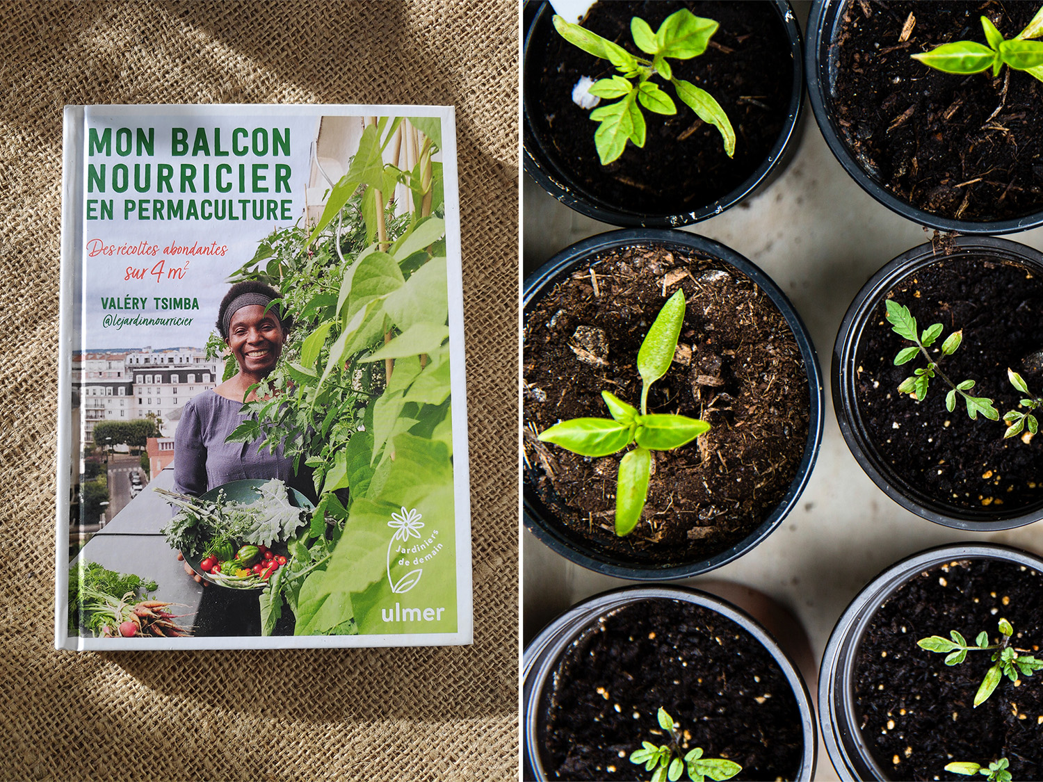 Conférence : « Mon balcon nourricier »