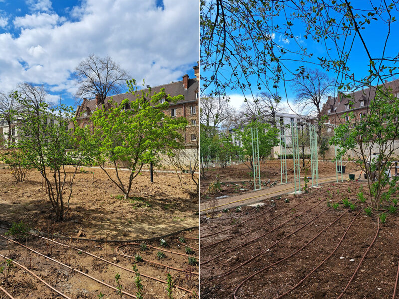 Jardin des senteurs