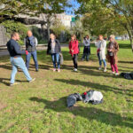 Parcours dans la Ville 2023