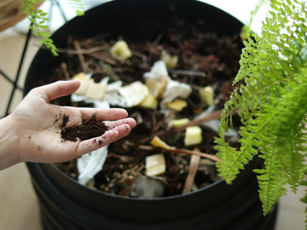 Biodéchets à Courbevoie : points de collecte et compost - Acteurs du ...