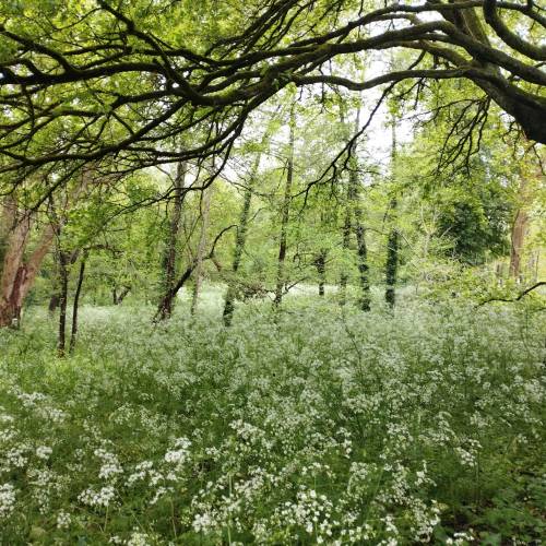 On aime, on partage : en famille, du coté de chez nous