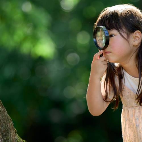 Dimanche 10 mai à 10h30, Explorations et activités nature en famille