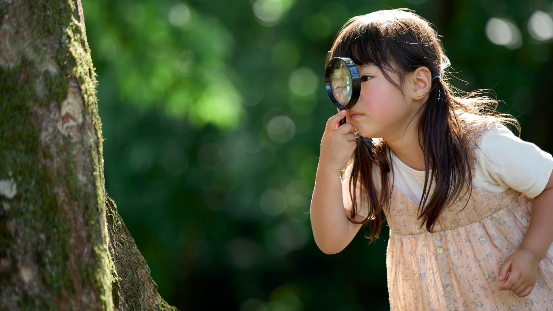 Dimanche 10 mai à 10h30, Explorations et activités nature en famille